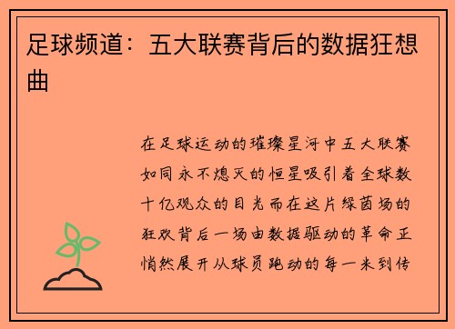 足球频道：五大联赛背后的数据狂想曲